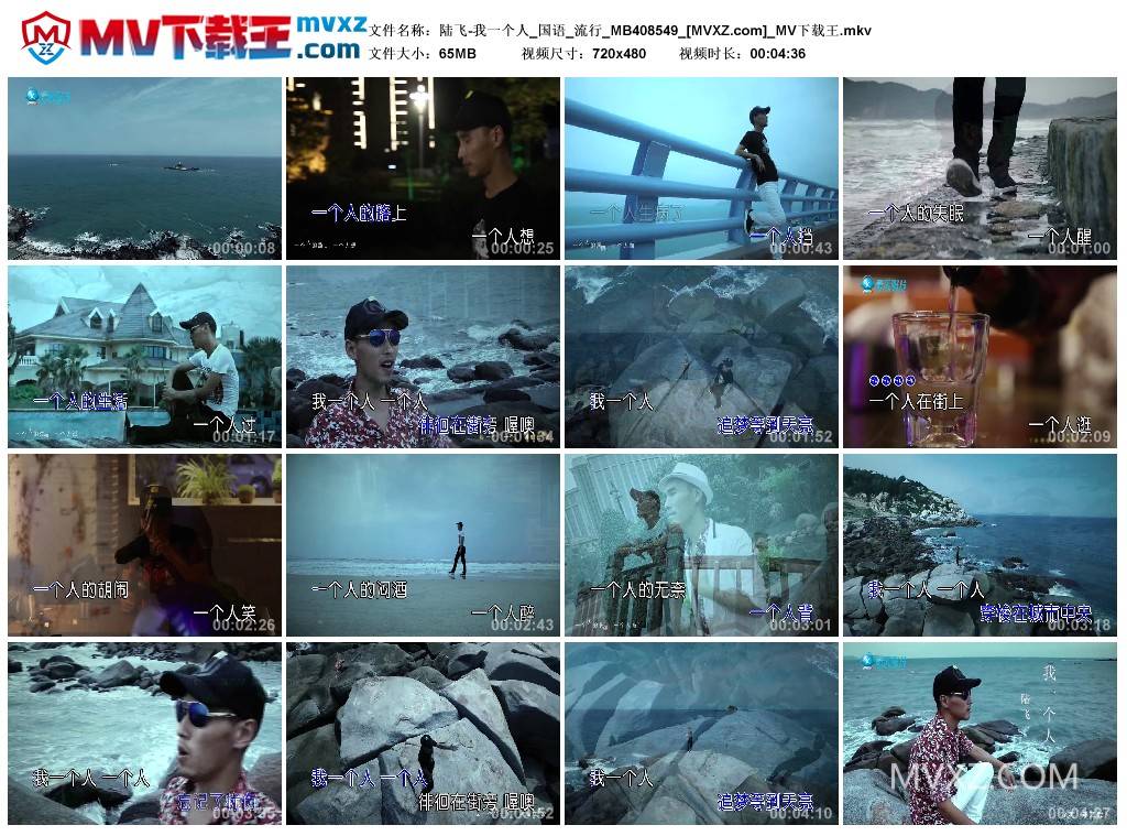 陆飞-我一个人_国语_流行_MB408549